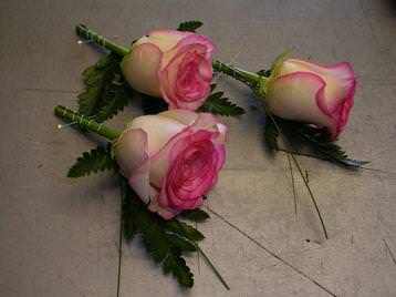 Buttonholes