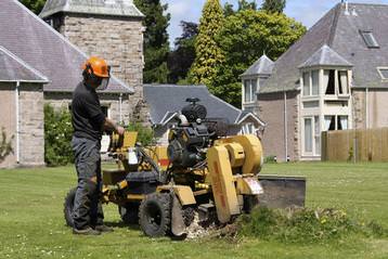 Stump grinding at Glentanar House