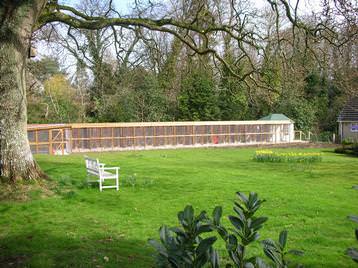 Looking north across the orchard.