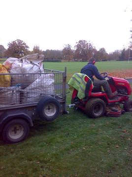 Leaf Clearance