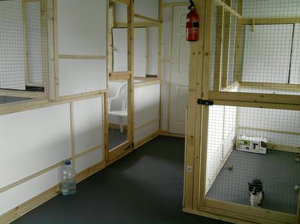 Furballs Cattery - large spacious pens + runs