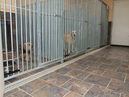 Our kennels