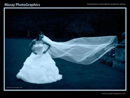 Specialists in modern wedding photography