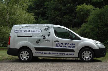Dorset Pest Control