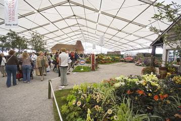 40m frame at a Flowershow