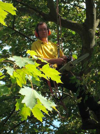 Will climbing