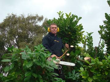 Lawrence climbing