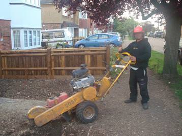 Lawrence stump grinding