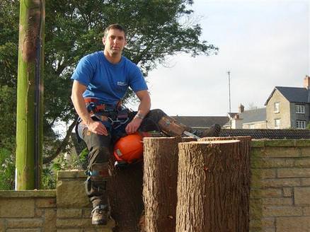 matt, owner of arborcure.