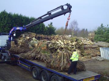 We have machinery to remove any size stump