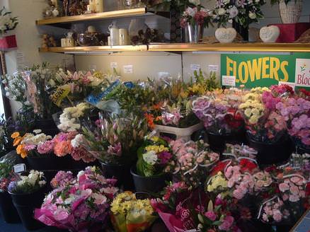 Some of our flower selection
