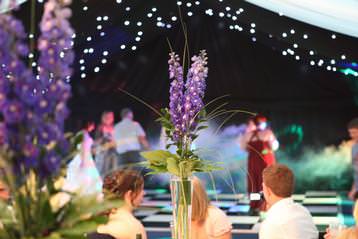 Wedding, party marquee hire in Derby