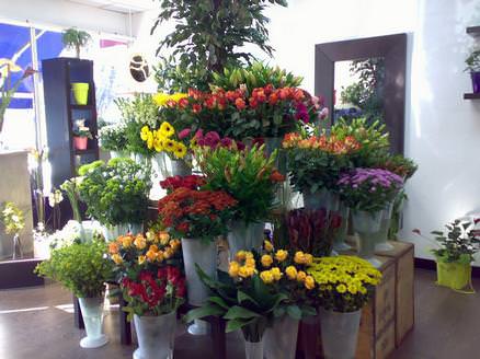 A wide range of flowers to choose from