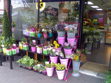 Our outside display