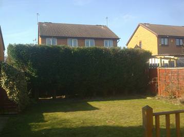 Lowered hedge