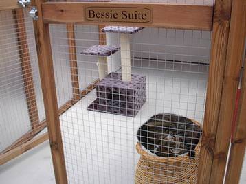 Nessie Suite - double chalet