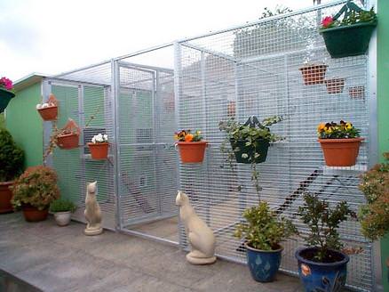 One of our cattery blocks