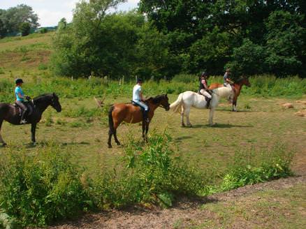 Riders in the Field