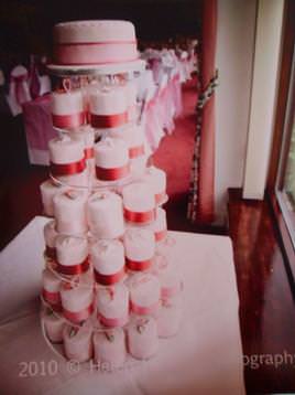 Elegant single tier and mini cakes