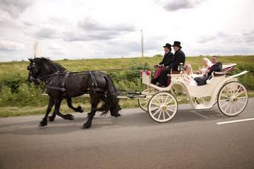 Horse & Carriage 