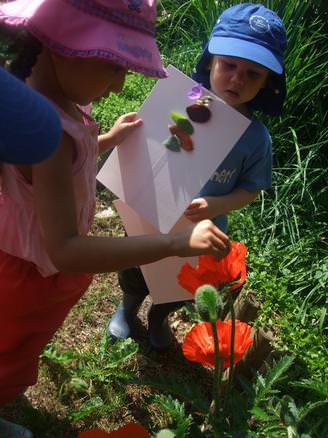 Children investigating in the garden