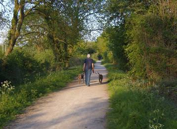 Walking up the lane