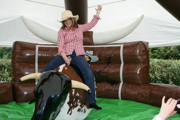 Rodeo Bull