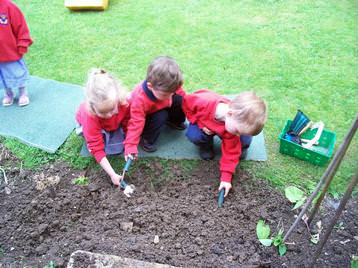 The children plant flowers and vegetable
