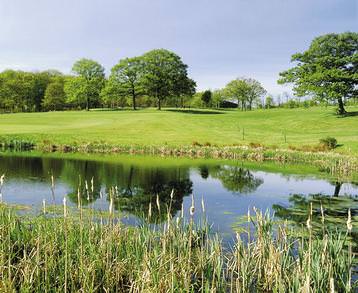 Lakeside View