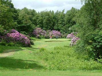 13th. Cawder - Par 3