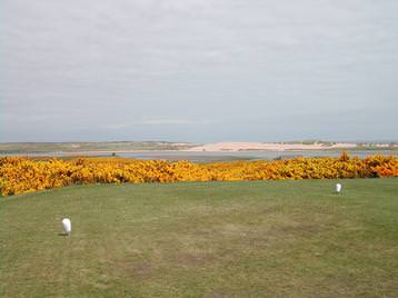 8th Tee NorthEast towards Foveran Nature Rese