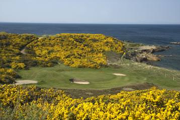 12th Hole - The Prieshach