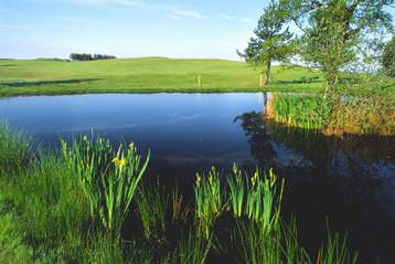 Spectacular 7th hole