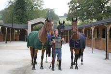 Dovecote Stables, Chard