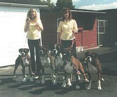 Glenauld Kennels & Cattery, Strathaven