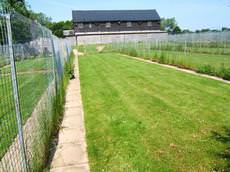 Duck End Farm Kennels and Cattery, Great Dunmow