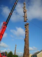 Downlands Tree Surgery Ltd, Warminster