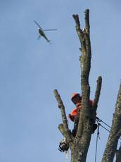 RJM Landscapes & Tree Surgery Ltd, Exeter