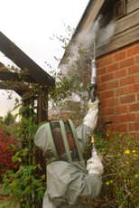KRD Pest Control, Lymington