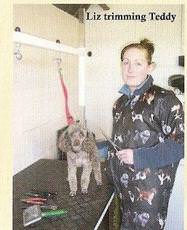 Woodlands Boarding Kennels, Kingston upon Hull