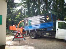 Davis Tree Care, Winchester