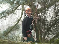 Carvells Tree Surgeons, Congleton