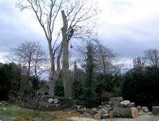 Scotton Tree Care, Knaresborough