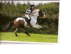 Edleston Equestrian Academy, Nantwich