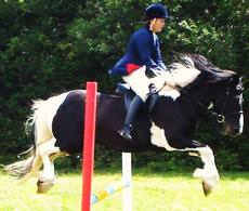 Pegasus Equestrian Centre, Worcester