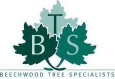BTS Beechwood Tree Specialists, Poulton-le-Fylde