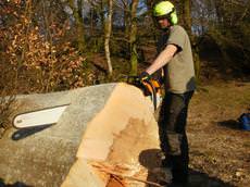 Wildewood Tree Services 	 , Llanbedr