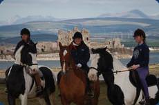 Seaview Riding School, Barrow-in-Furness