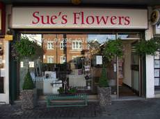 Sue's Flowers, Aylesbury