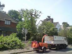 Evergreen Tree Surgery Fleet, Guildford